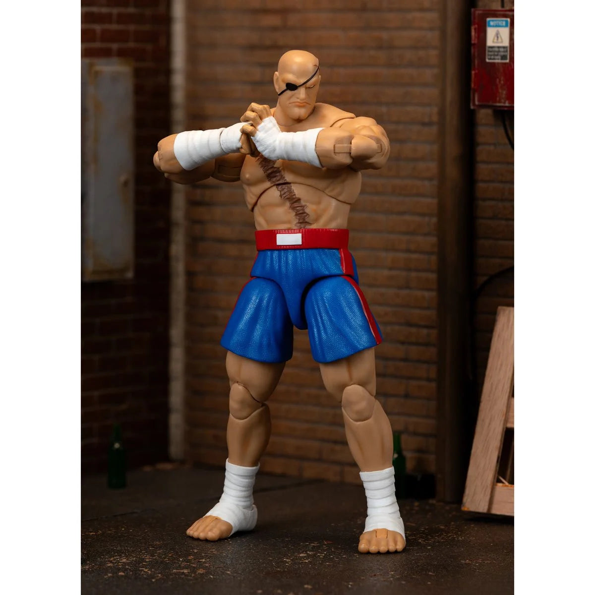 Ultra Street Fighter II Sagat